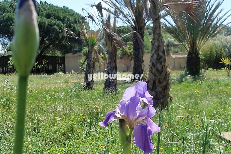 Moradia V4 inserida num espaçoso lote de terreno numa zona rural perto de Lagos